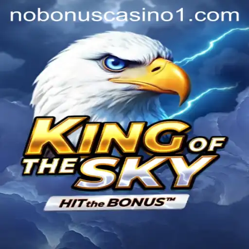 Exploring the Adventure: KingOfTheSky