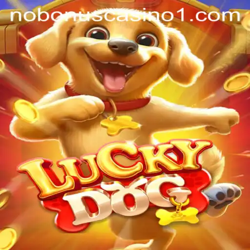 Discover the Exciting World of LuckyDog: Win Big with Ganhe888